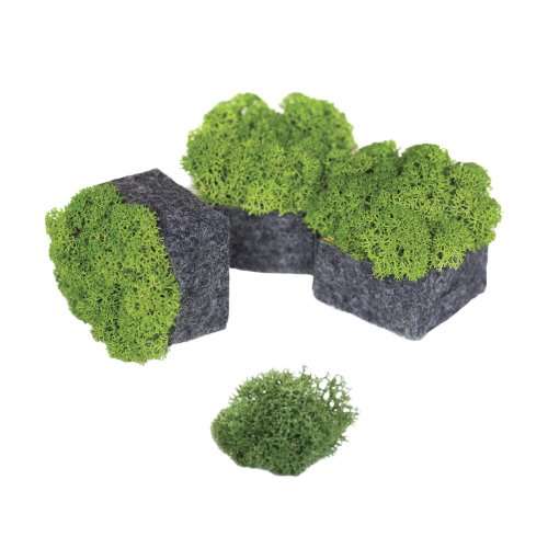 SURFACE ELEVEN-Pixel Moss